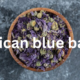 African Blue Basil: A Unique and Hardy Herb