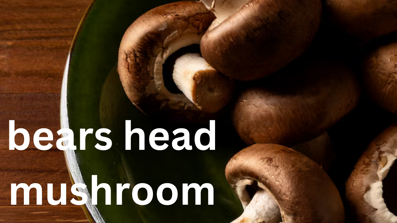 From Forest to Table: The Journey of the Bears Head Mushroom