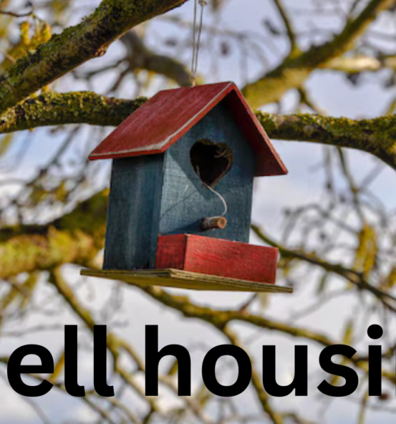 Bell Housing: A Comprehensive Guide