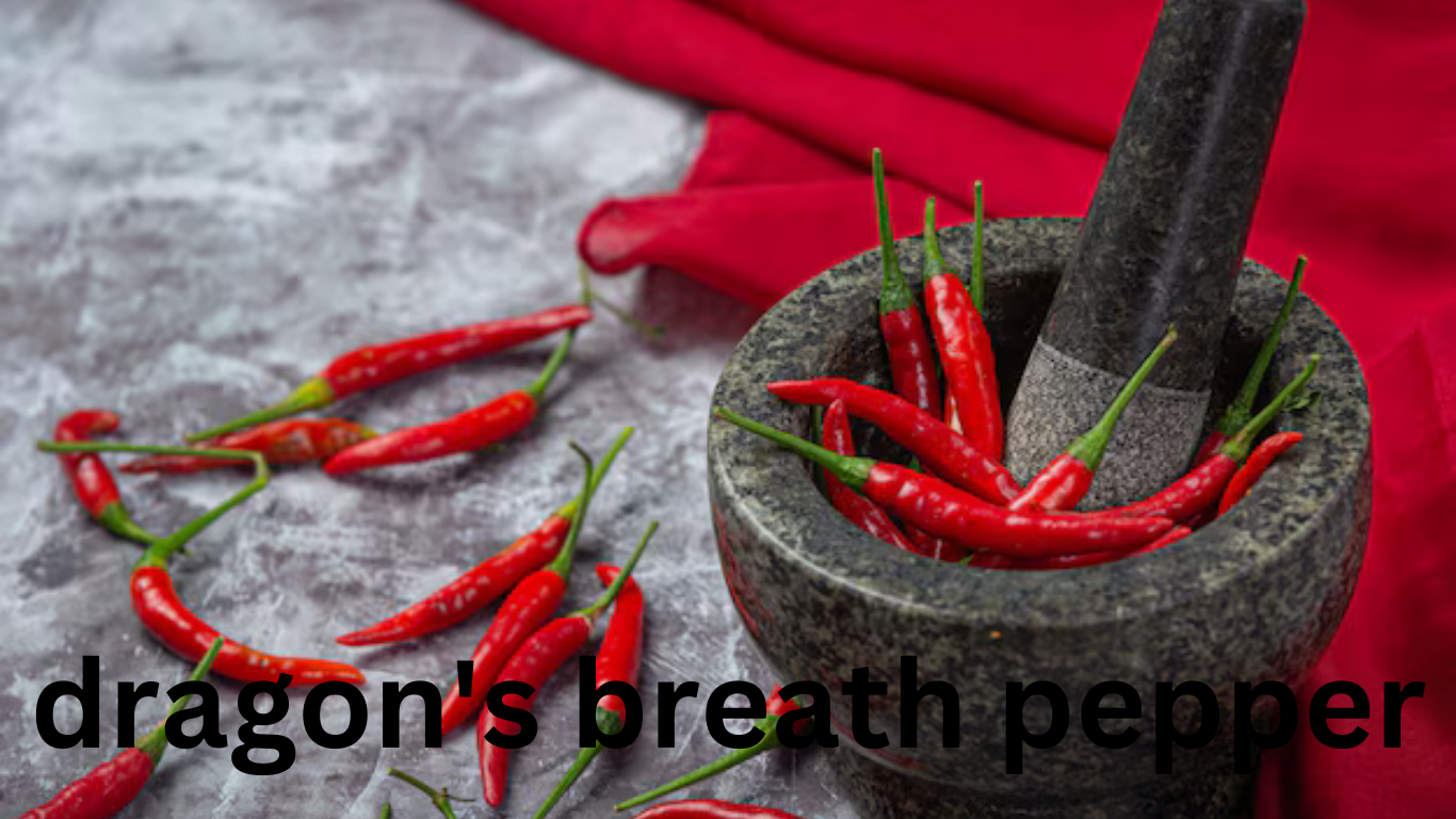 Dragon's Breath Pepper: A Fiery Marvel of the Pepper World