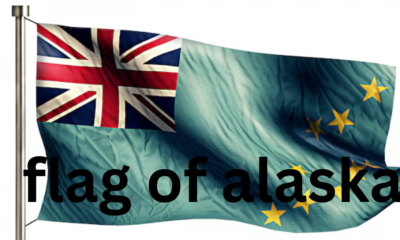 The Flag of Alaska: A Symbol of History and Unity