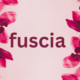 The Fascinating Fuchsia Flower: A Guide to its Beauty and Care