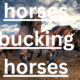 Understanding Horses Bucking: Causes, Prevention, and Training Solutions