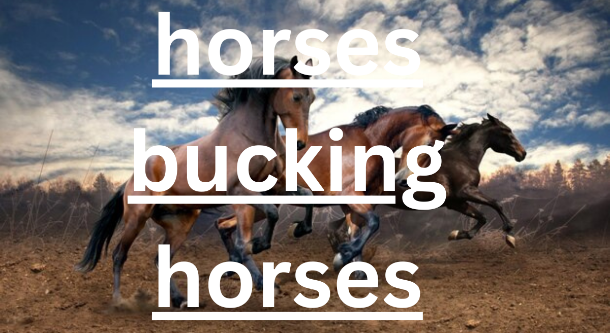 Understanding Horses Bucking: Causes, Prevention, and Training Solutions