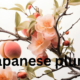 Japanese Plum: A Delicate Fruit with Versatile Uses