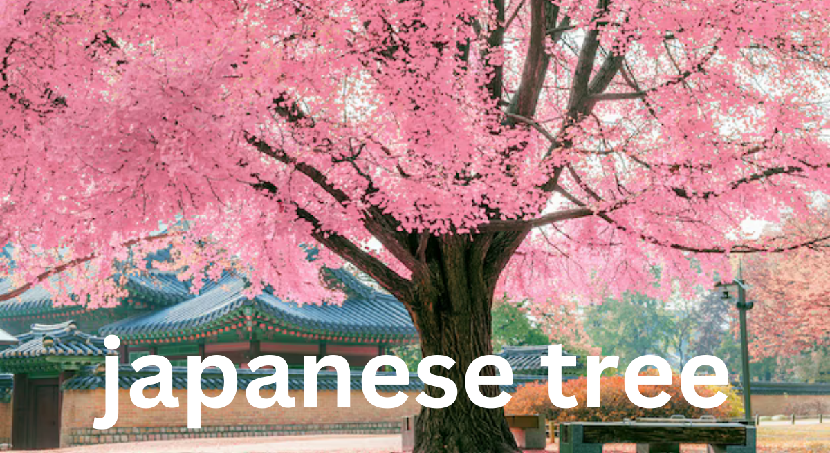 The Beauty of Japanese Trees: A Cultural and Natural Wonder