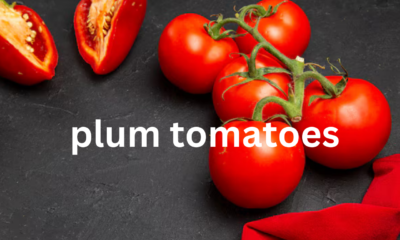 Plum Tomatoes: A Culinary Staple