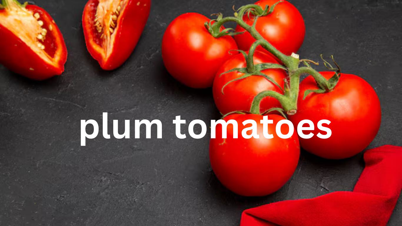 Plum Tomatoes: A Culinary Staple