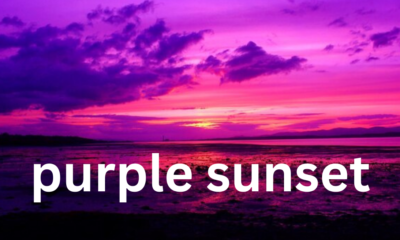 The Magic of a Purple Sunset