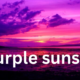 The Magic of a Purple Sunset