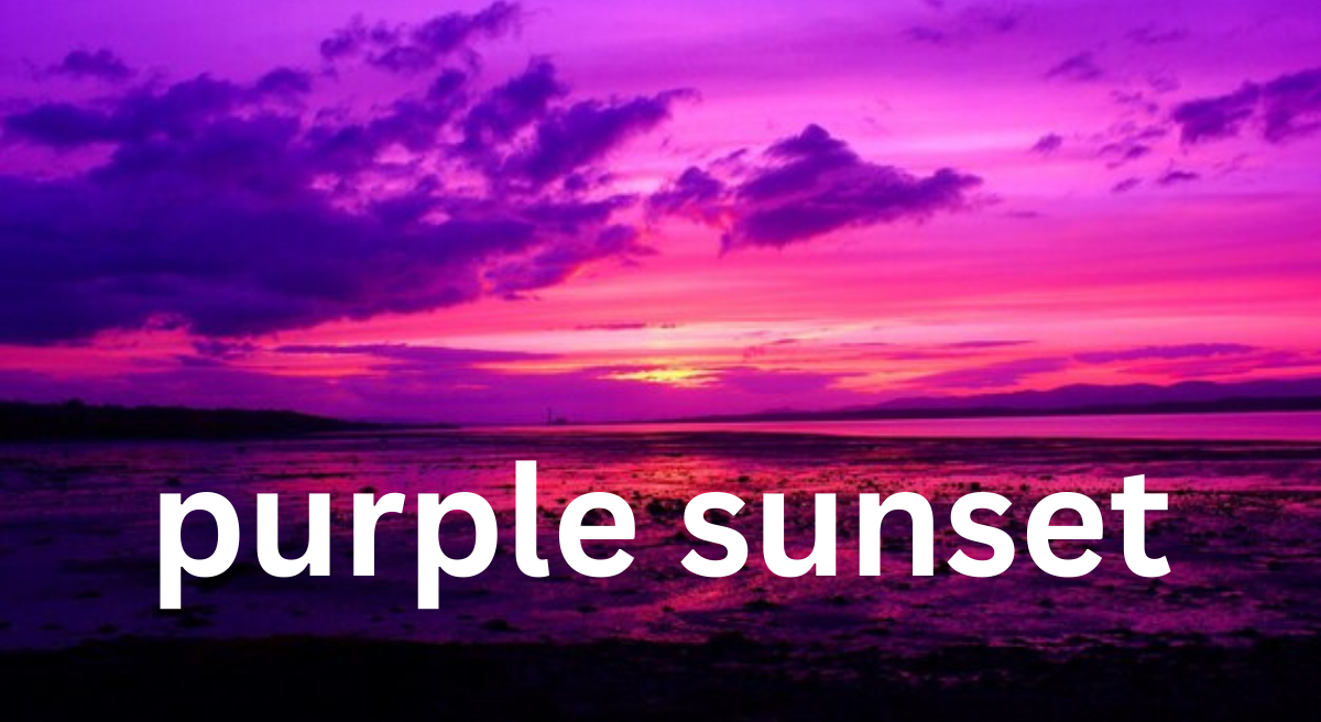 The Magic of a Purple Sunset