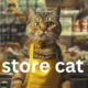 Store Cats and Their Impact on Customer Experience: A Purr-fect Pairing