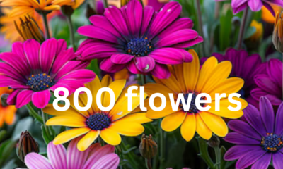 1-800-Flowers: Revolutionizing the Floral Industry