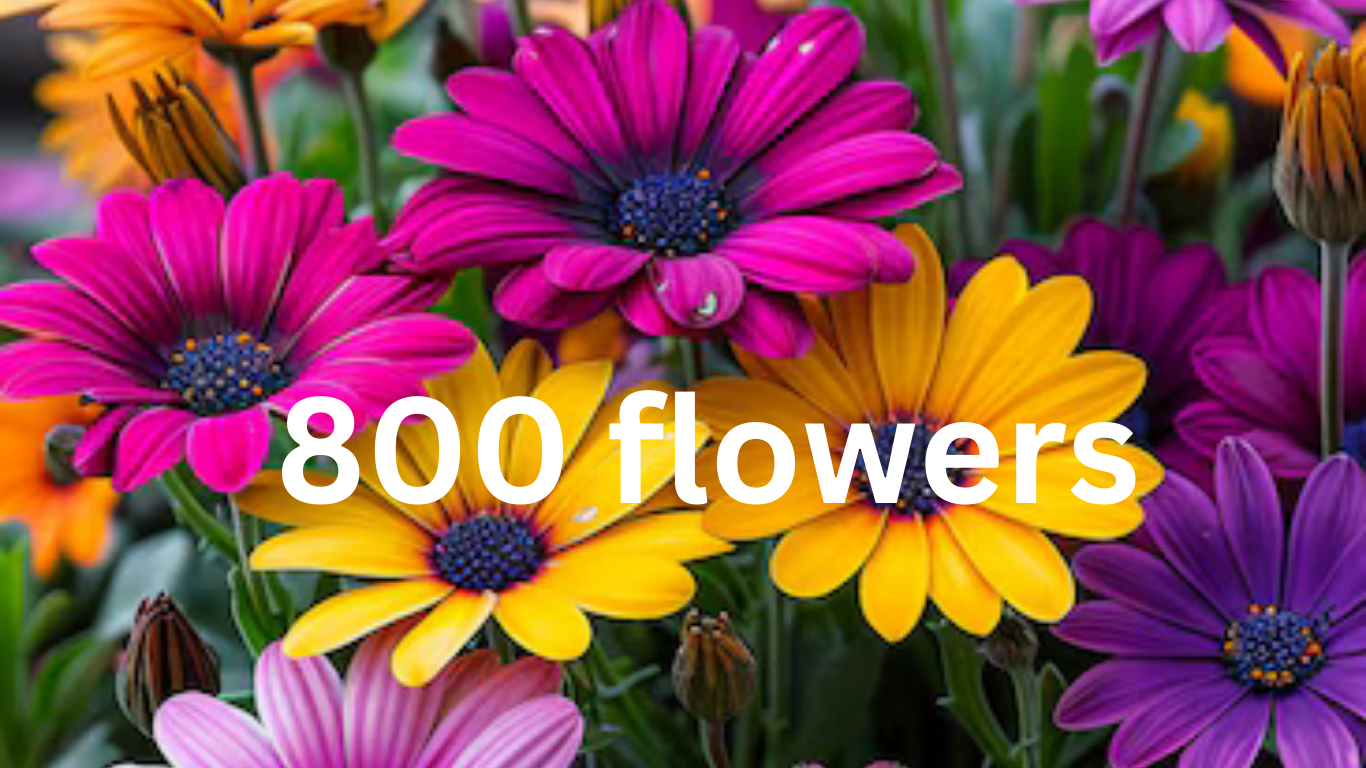 1-800-Flowers: Revolutionizing the Floral Industry