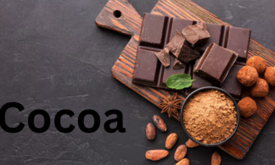 Cocoa: The Journey from Bean to Chocolate