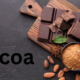 Cocoa: The Journey from Bean to Chocolate