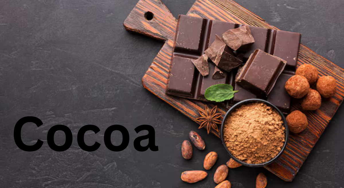 Cocoa: The Journey from Bean to Chocolate