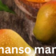 Alphonso Mango: The King of Fruits