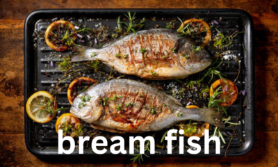 Bream Fish: A Comprehensive Overview