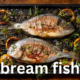 Bream Fish: A Comprehensive Overview