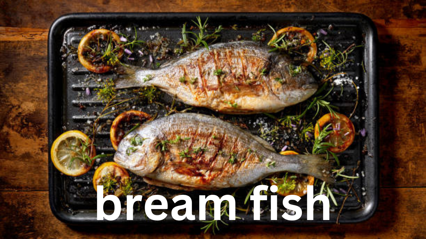 Bream Fish: A Comprehensive Overview