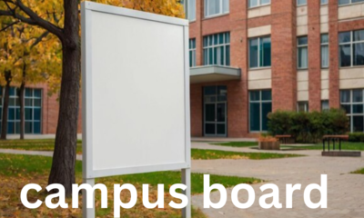 The Campus Board: A Key Tool for Climbers