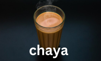 Chaya: The Miracle Plant