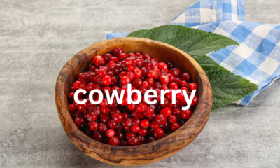 Cowberry: A Nutritional Powerhouse and Cultural Treasure