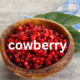 Cowberry: A Nutritional Powerhouse and Cultural Treasure