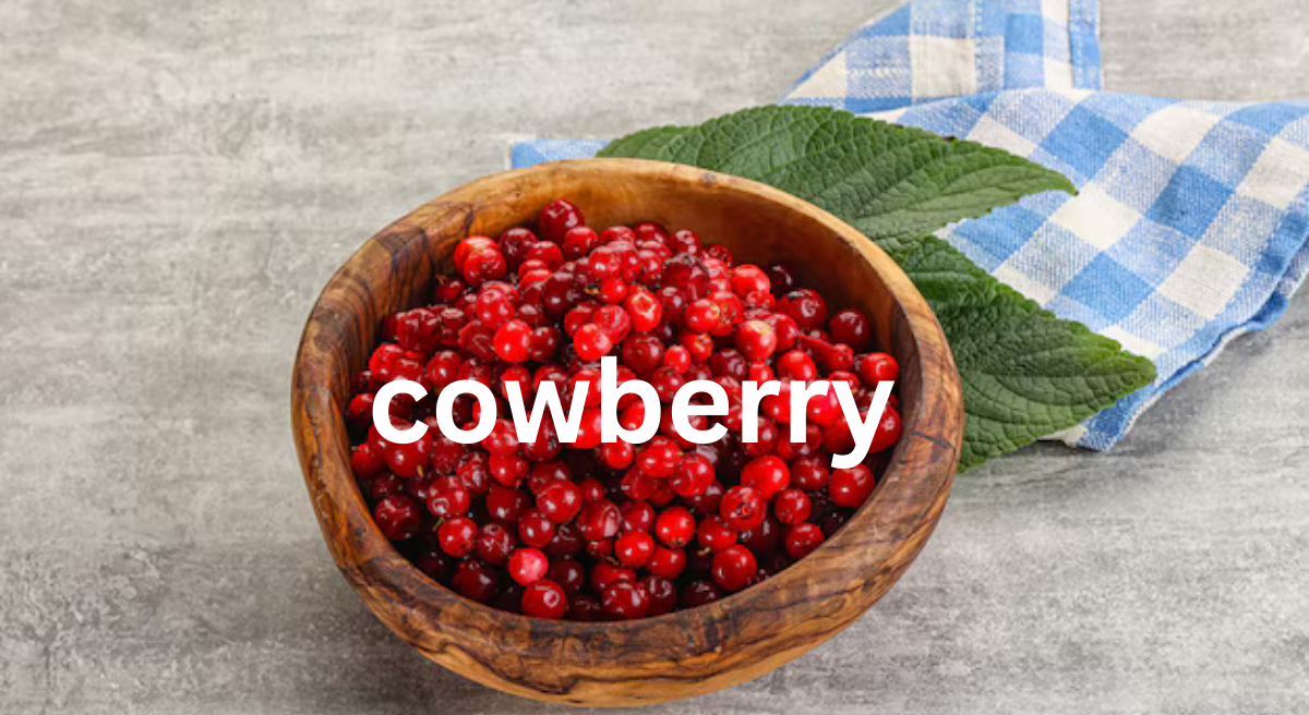 Cowberry: A Nutritional Powerhouse and Cultural Treasure