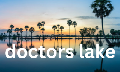 Article: Exploring Doctors Lake – A Scenic Oasis in Florida