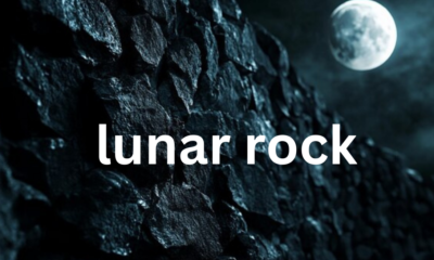 Lunar Rock: A Window into the Moon’s Mysteries