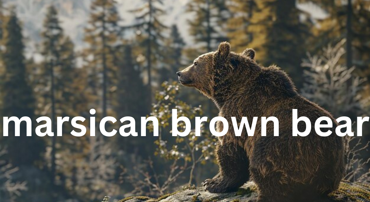 The Marsican Brown Bear: An Endangered Treasure of the Apennines