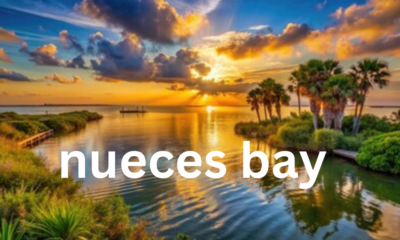 Nueces Bay: A Comprehensive Overview