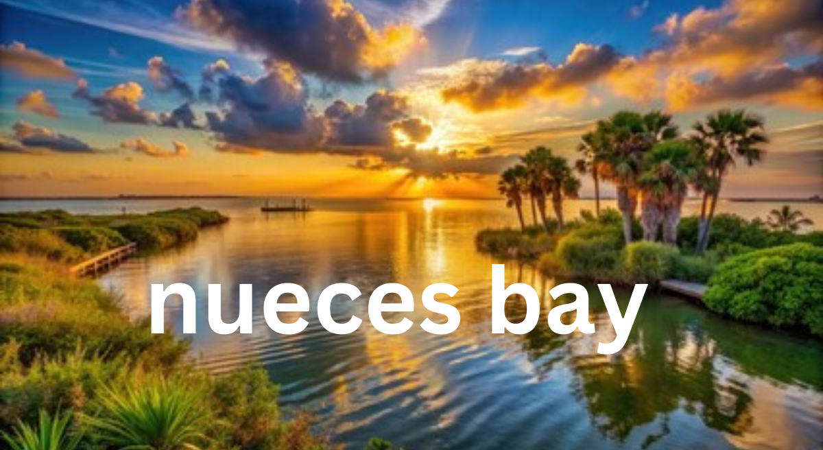 Nueces Bay: A Comprehensive Overview