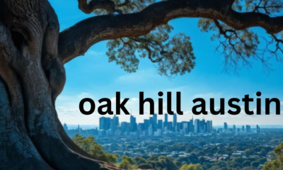 Oak Hill, Austin: A Neighborhood Overview