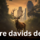 Père David's Deer: A Remarkable Conservation Story