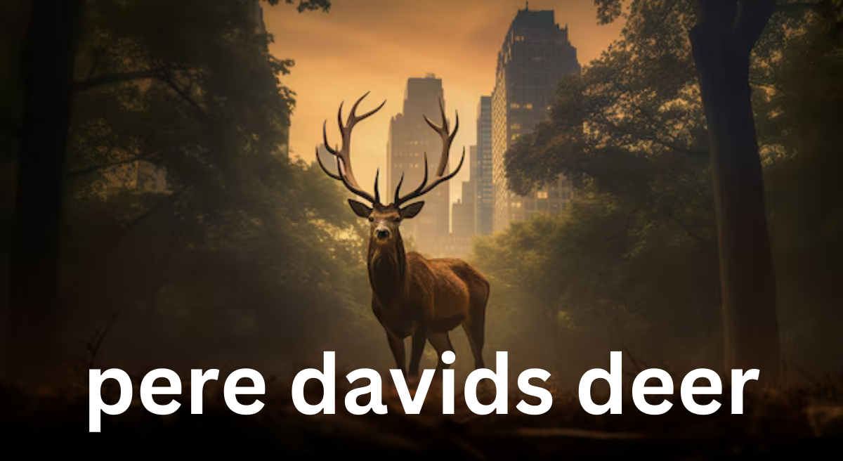 Père David's Deer: A Remarkable Conservation Story