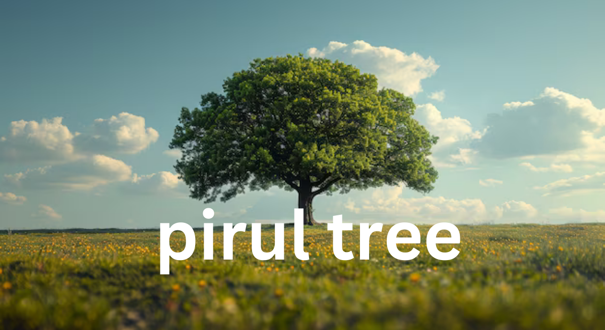 The Pirul Tree: A Comprehensive Overview