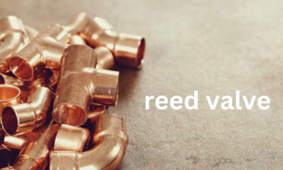 Reed Valve: Function, Design, and Applications