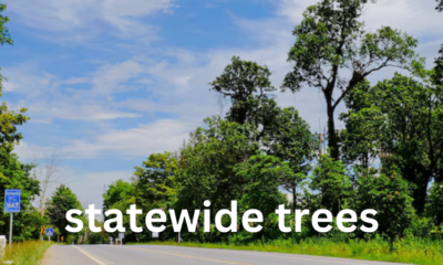 Statewide Trees: Guardians of Ecosystems