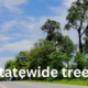 Statewide Trees: Guardians of Ecosystems