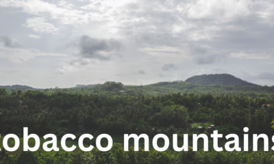 Tobacco Mountains: A Natural and Cultural Overview