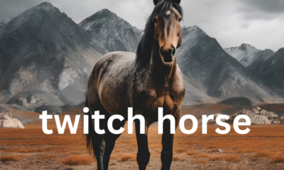 Twitching in Horses: An Overview