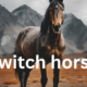 Twitching in Horses: An Overview