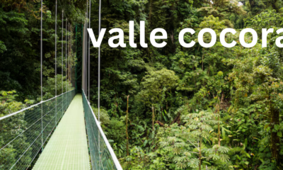 Valle de Cocora: A Guide to Colombia’s Majestic Cloud Forest