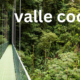 Valle de Cocora: A Guide to Colombia’s Majestic Cloud Forest