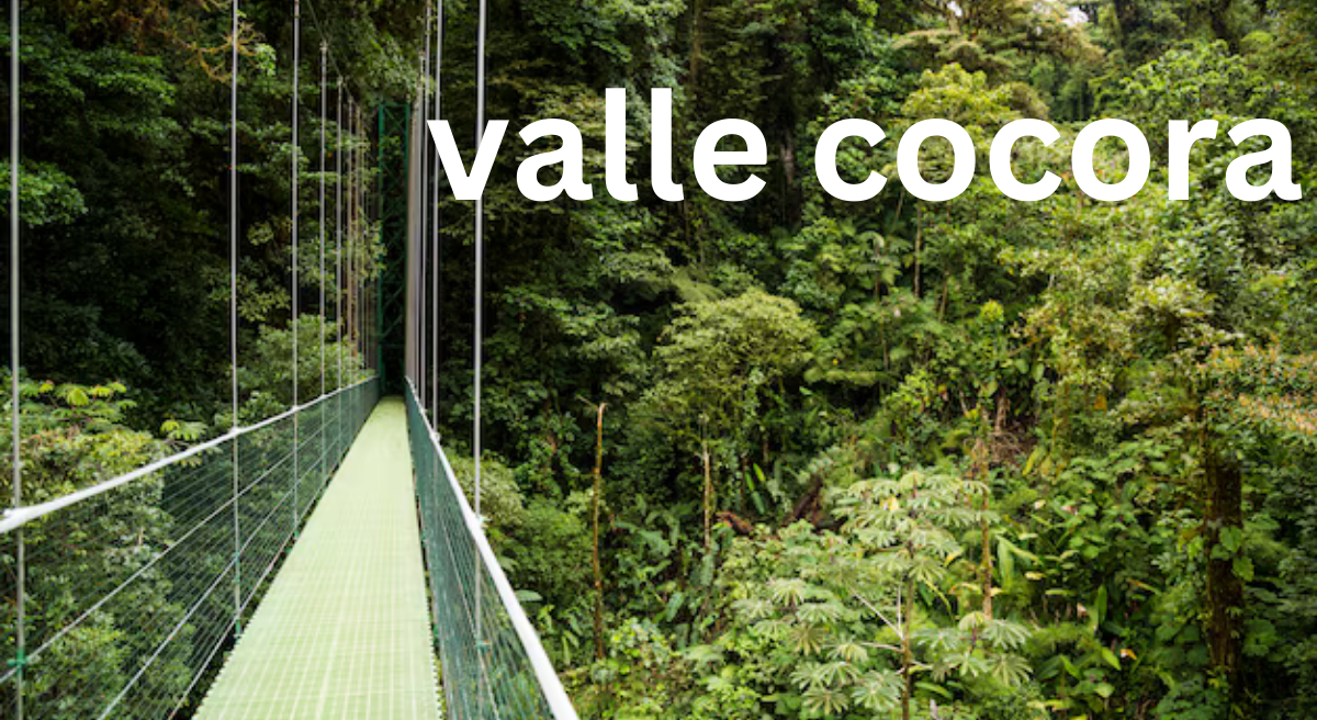 Valle de Cocora: A Guide to Colombia’s Majestic Cloud Forest