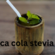 Coca-Cola Stevia Life: A Natural Approach to Refreshment