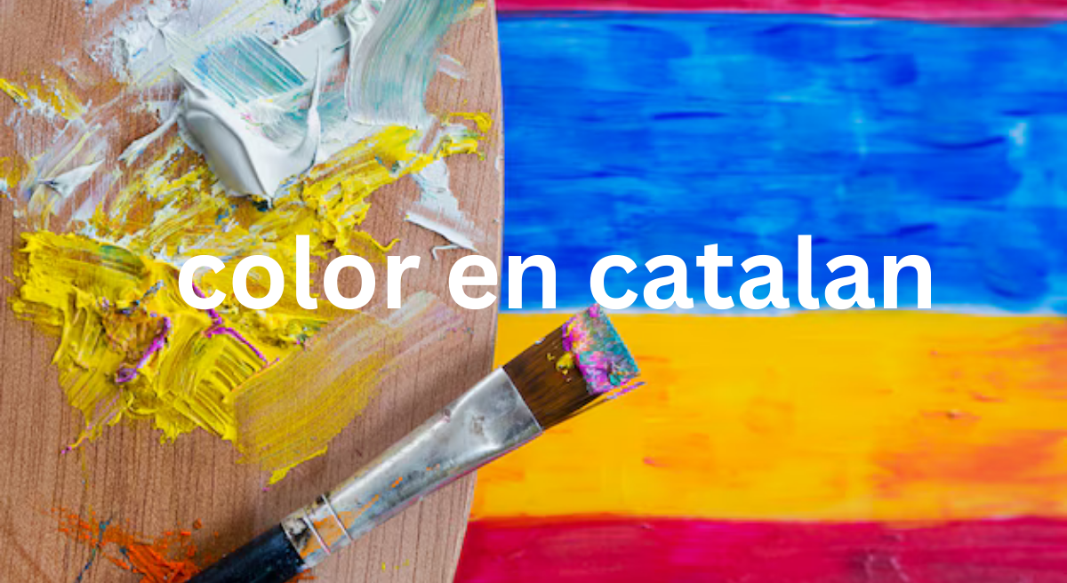 Colors: Una Introducció a la Importància dels Colors